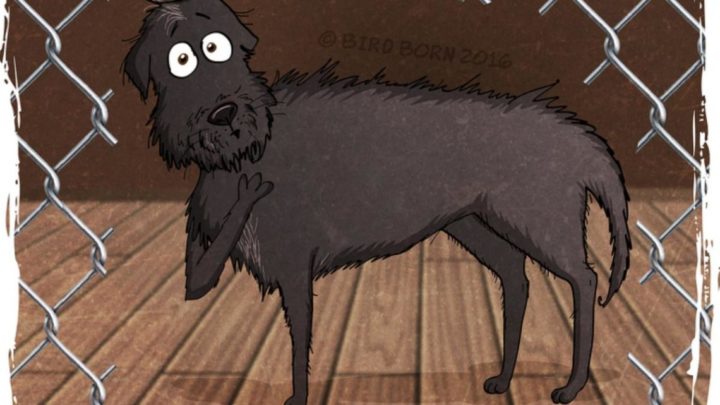 Забавный комикс о том, как меняется жизнь, если взять собаку из приюта