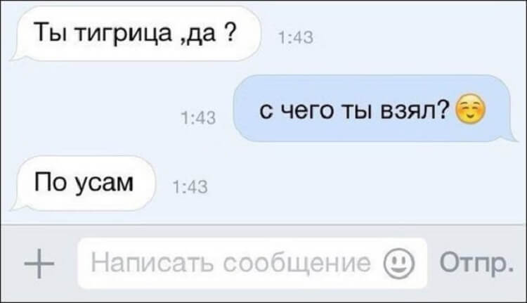 14 смешных СМС