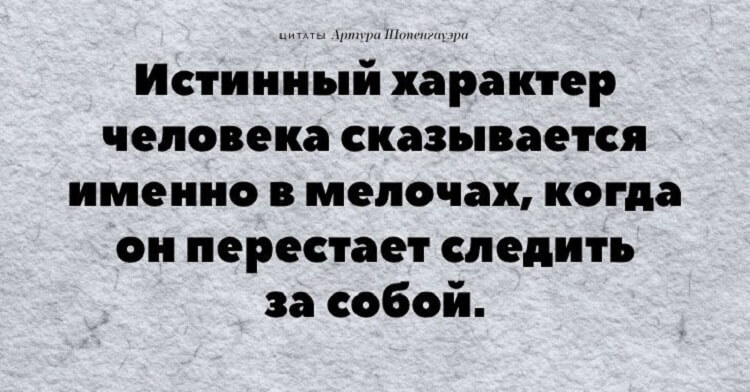 Высказывания характере. Цитаты про характер. Цитаты о характере человека. Артур Шопенгауэр философия цитаты. Цитаты о темпераменте человека.