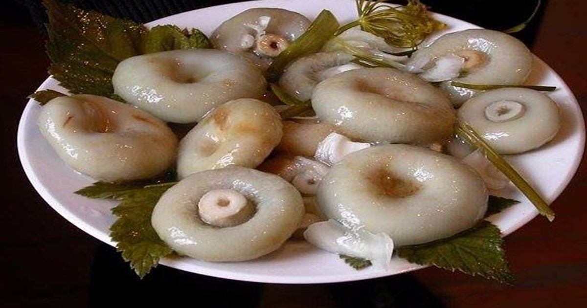 Грузди маринованные отварные. Маринад для груздей. Грузди соленые горячим способом. Грузди маринованные отварные. Белый груздь.