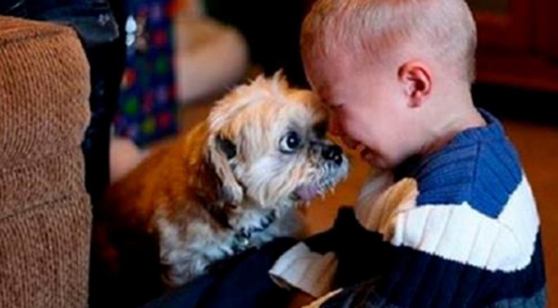 25 фотографий, доказывающих, почему каждый ребенок должен иметь домашнее животное