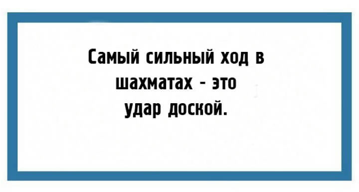 24 юмористических открытки с мудрыми жизненными наблюдениями