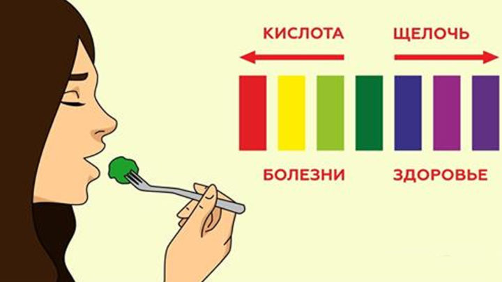 23 продукта с высоким содержанием щелочи.