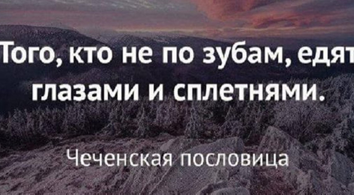 15 острых и умных высказываний