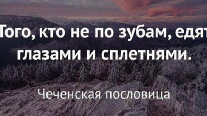 15 острых и умных высказываний