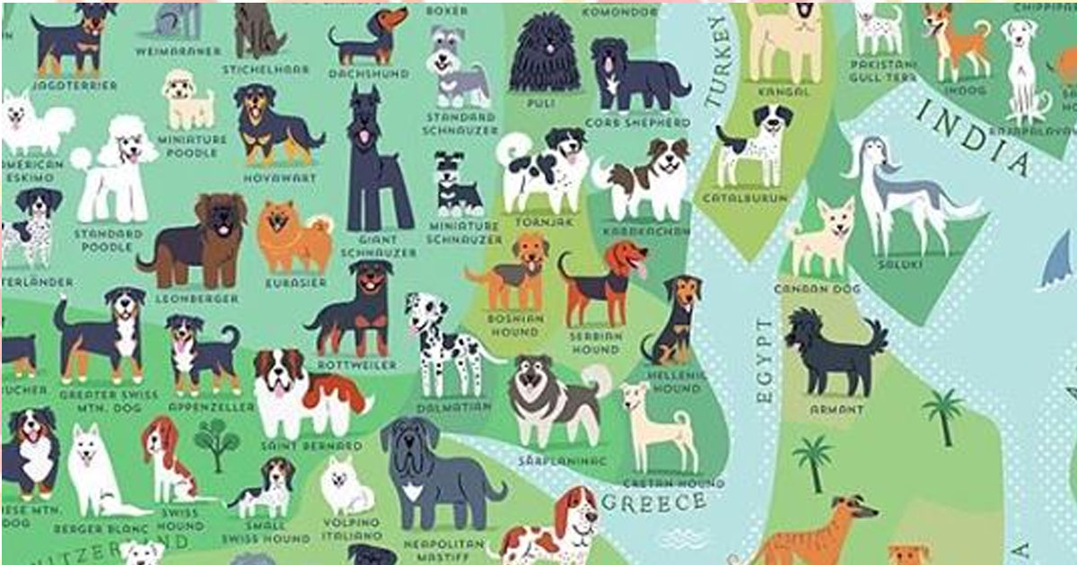 Национальность собаки. Карта пород собак. Происхождение собак карта. Карты с собаками. Происхождение пород собак на карте.