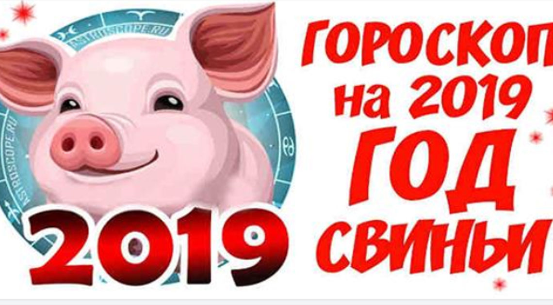 Точный гороскоп на 2019 год свиньи