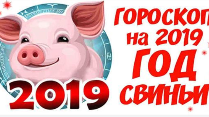 Точный гороскоп на 2019 год свиньи